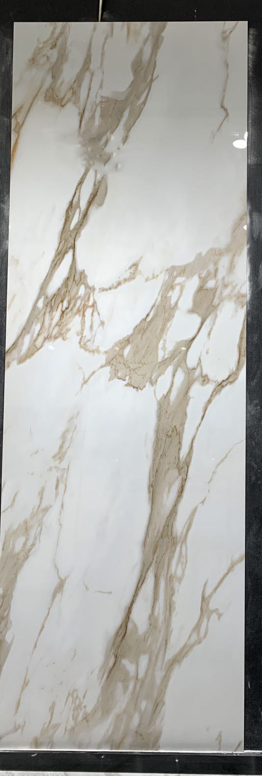 微信图片_20230314151954