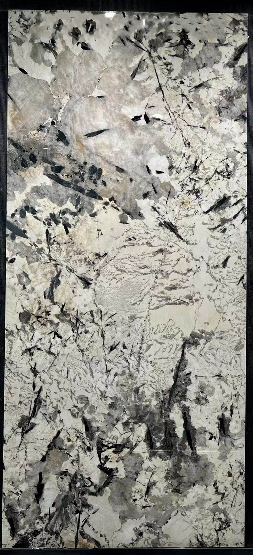 微信图片_20230403113030